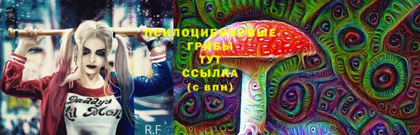 ГАЛЛЮЦИНОГЕННЫЕ ГРИБЫ Верхнеуральск