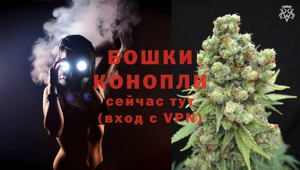 ГАЛЛЮЦИНОГЕННЫЕ ГРИБЫ Верхнеуральск